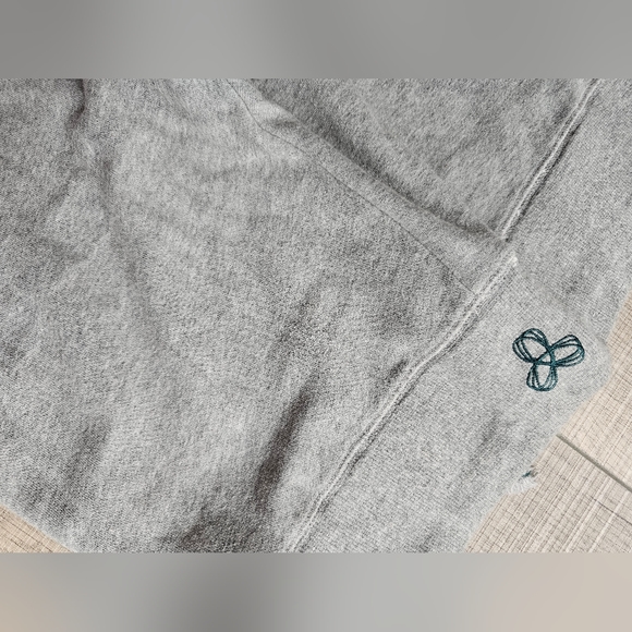 Aritzia (TNA) Cropped Joggers - Picture 5 of 5